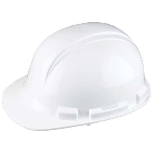 Dynamic Whistler Hardhat, CSA Type 1, Pinlock Suspension, Non-Vented R.M.G. Prévention
