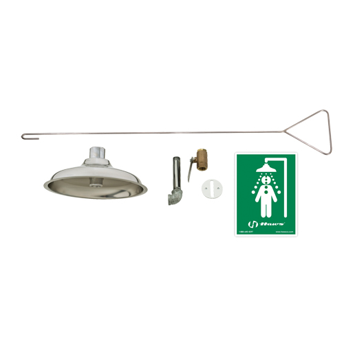 Concealed Drench Shower, Ceiling-Mount R.M.G. Prévention