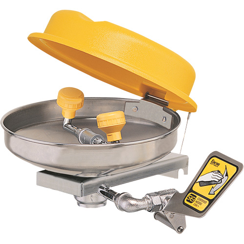 Eyewash Station, Wall-Mount Installation, Stainless Steel Bowl R.M.G. Prévention