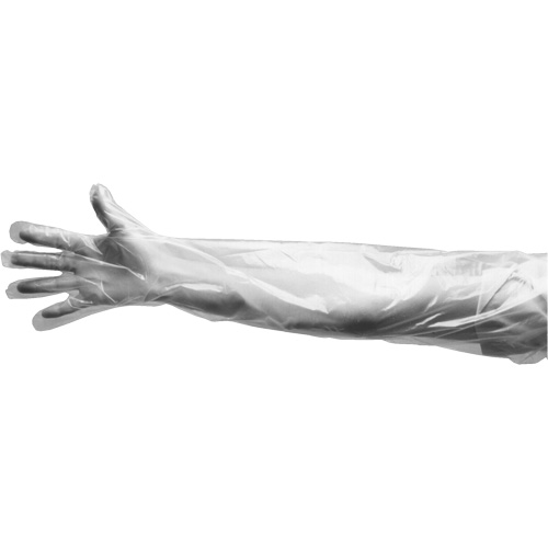 Gants jetables, Grand, Poly&eacute;thyl&egrave;ne, 9 mils, Poudr&eacute;s, Transparent R.M.G. Prévention
