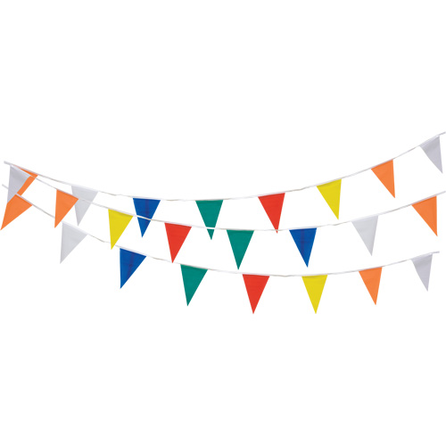 Pennant String, 60' L, Multicolour R.M.G. Prévention