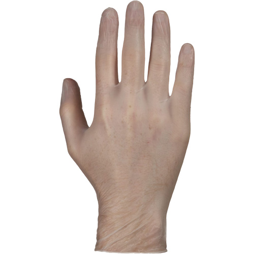 Disposable Gloves, Small, Vinyl, 4-mil, Powder-Free, White R.M.G. Prévention