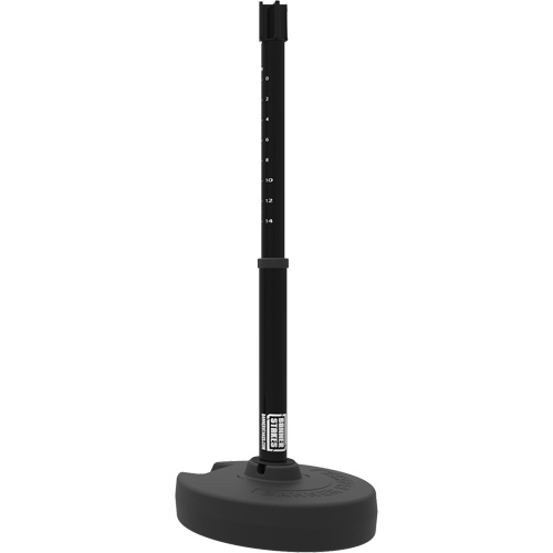 PLUS Barrier Post Set Receiver, 42" High, Black R.M.G. Prévention