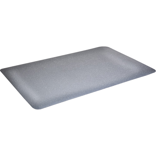 Tapis antimicrobiens WD Foodmaster, Lisse, 3' x 4' x 9/16", Gris, Nitrile/Caoutchouc R.M.G. Prévention