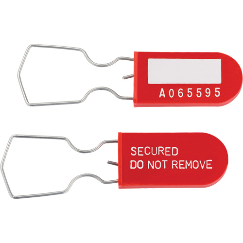 Dynamic Safety Equipment Inspection Tags, Plastic, 1" W x 2-1/4" H, English R.M.G. Prévention