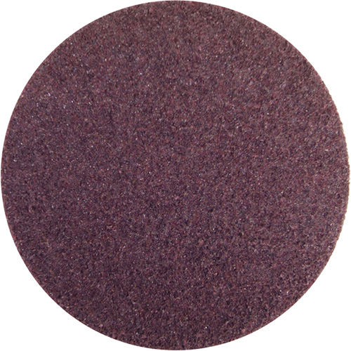 Rapid Prep Non-Woven Abrasive Disc, 5" Dia., Fine Grit, Aluminum Oxide R.M.G. Prévention