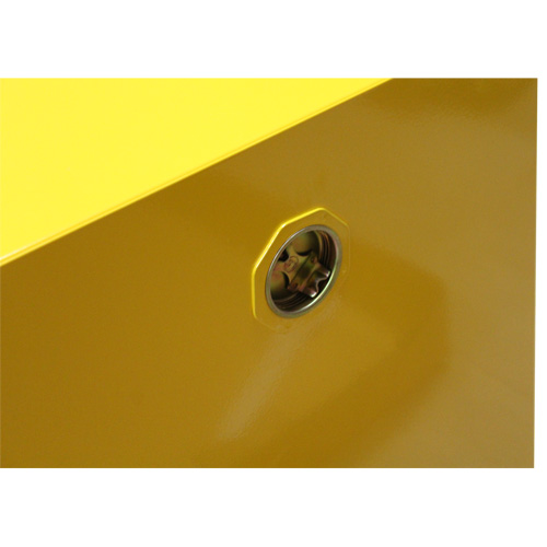 Armoire pour produits inflammables, 4 gal., 1 Porte(s), 17" La x 22" h x 18" p R.M.G. Prévention