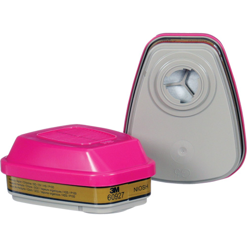 Cartouche, Combinaison cartouche et filtre contre les particules pour gaz/vapeurs, Gaz multiples/Vapeurs/P100 R.M.G. Prévention