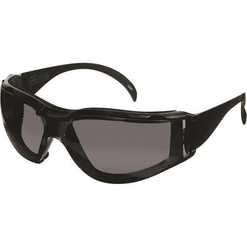 Lunettes de s&eacute;curit&eacute; CeeTec DX, Lentille Gris, Antibu&eacute;e/Anti-&eacute;gratignures, R&eacute;pond ou surpasse la norme CSA Z94.3 R.M.G. Prévention