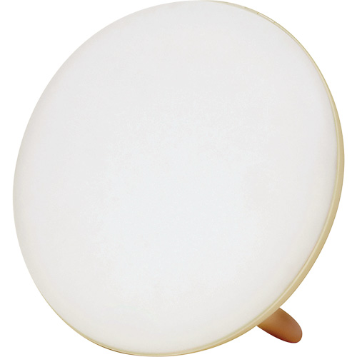 Lampe &agrave; luminoth&eacute;rapie pour le traitement de la d&eacute;pression saisonni&egrave;re R.M.G. Prévention