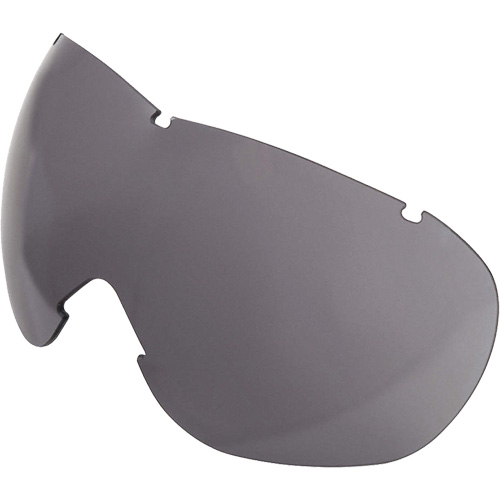 Lentille de rechange pour les lunettes de s&eacute;curit&eacute; &agrave; coques Uvex Sub-Zero, Antibu&eacute;e/anti-&eacute;gratignures, Gris, Uvex Sub-Zero R.M.G. Prévention