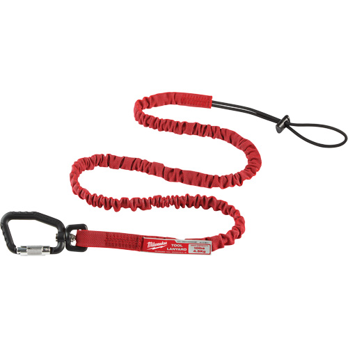 Extended Reach Locking Tool Lanyard, Bungee, Carabiner/Loop R.M.G. Prévention