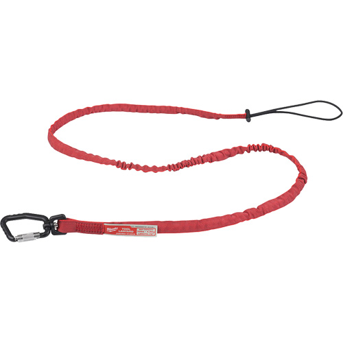 Extended Reach Locking Tool Lanyard, Bungee, Carabiner/Loop R.M.G. Prévention