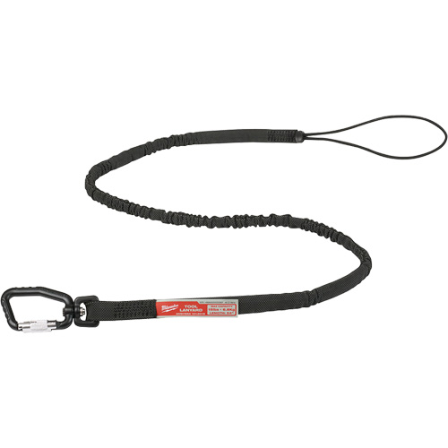 Extended Reach Locking Tool Lanyard, Bungee, Carabiner/Loop R.M.G. Prévention