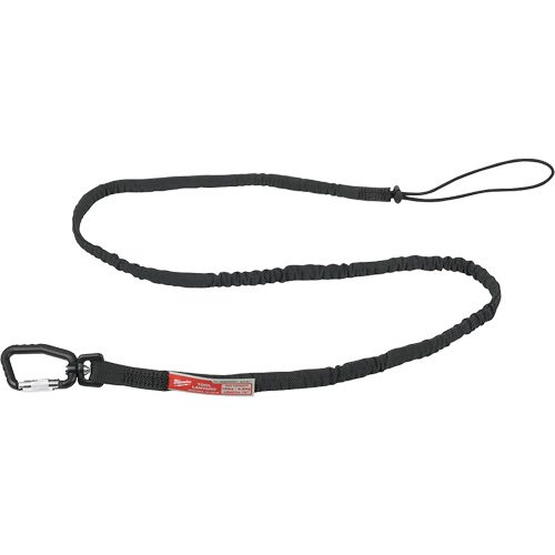 Extended Reach Locking Tool Lanyard, Bungee, Carabiner/Loop R.M.G. Prévention
