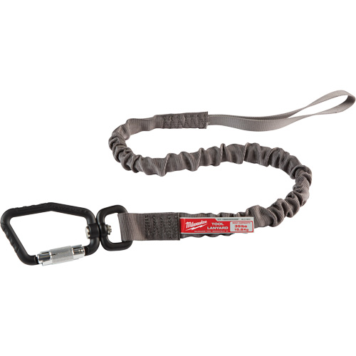 Locking Tool Lanyard, Bungee, Carabiner/Loop R.M.G. Prévention
