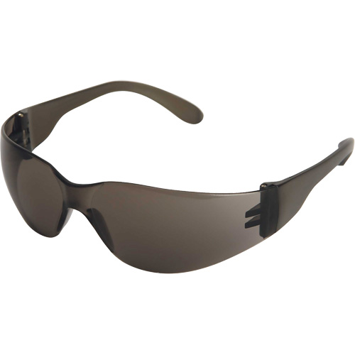 X300 Lunettes de s&eacute;curit&eacute;, Lentille Fum&eacute;e, Anti-&eacute;gratignures, ANSI Z87+/R&eacute;pond ou surpasse la norme CSA Z94.3 R.M.G. Prévention