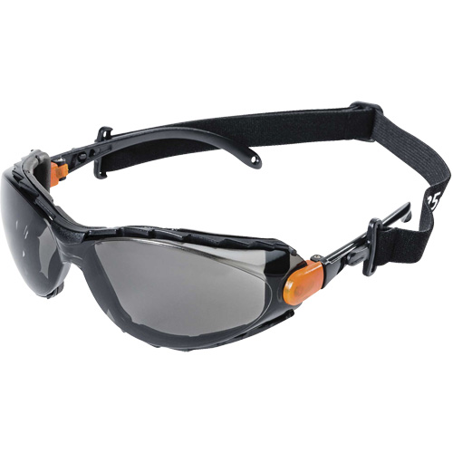 XPS502 Sealed Safety Glasses, Smoke Lens, Anti-Fog/Anti-Scratch R.M.G. Prévention