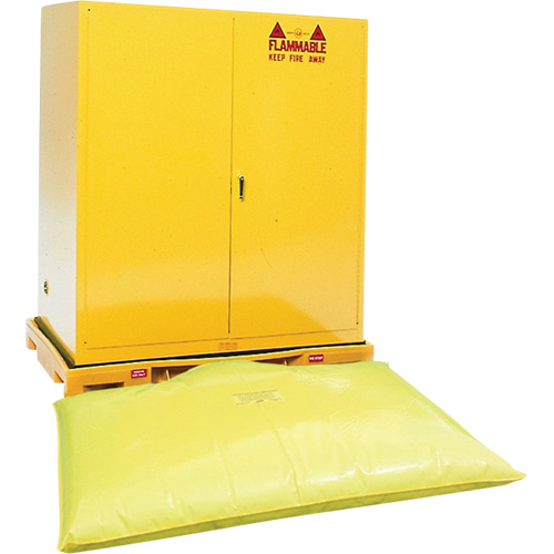 Double Drum Ultra-Safety Cabinet Bladder System, 63" lo x 38,5" la x 6,3" h, Capacit&eacute; de charge 3000 lb R.M.G. Prévention
