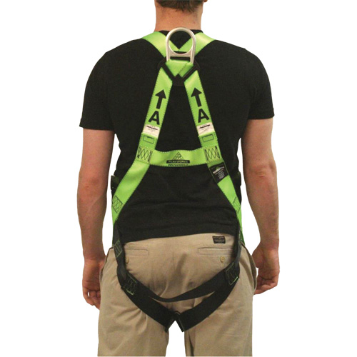 FBH-10000L Contractor Series Safety Harness, CSA Certified, Class AL, 400 lbs. Cap. R.M.G. Prévention