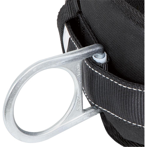 WB-6020-L Safety Positioning 2 Side D-Rings Belt with Padded Lumbar Support - Large R.M.G. Prévention