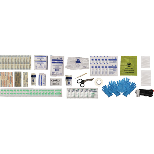 Shield First Aid Kit, Meets/Exceeds CSA Z1220-24 Type 2 Low-Risk Environment, Small (2-25 Workers) R.M.G. Prévention