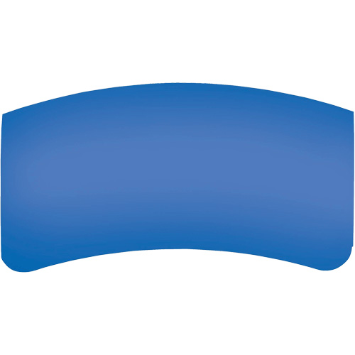 Lentille ext&eacute;rieure Bullard GenVX PETG R.M.G. Prévention