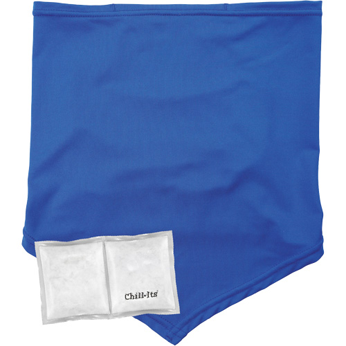 Cache-cou/bandana de refroidissement Chill-Its 6482 avec sachet r&eacute;frig&eacute;rant &agrave; changement de phase r&eacute;utilisable, grand/tr&egrave;s-grand, Bleu R.M.G. Prévention