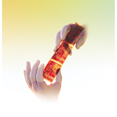 Doigtiers en latex poudr&eacute;s QRP R.M.G. Prévention