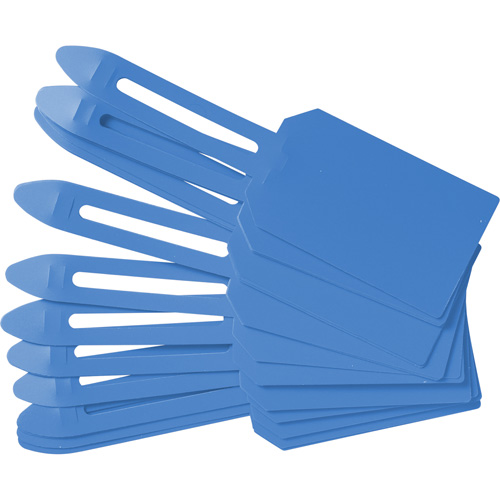 &eacute;tiquettes de cadenassage vierges en plastique, Plastique, 3-1/4" la x 5-4/5" h, Vierge R.M.G. Prévention