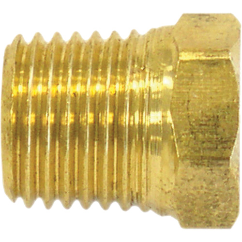 Bouchon de tuyau (t&ecirc;te hexagonale), 1/8" dia., Laiton R.M.G. Prévention