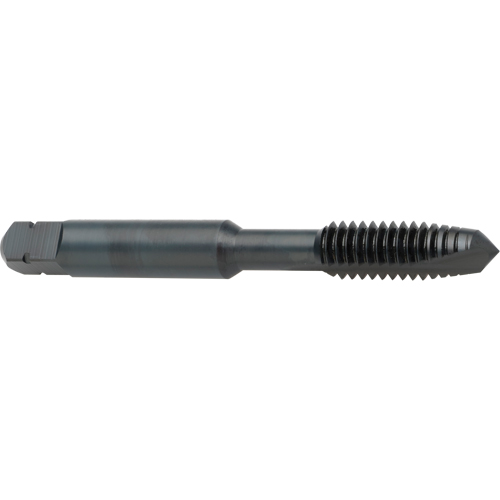 Spiral Point Tap, High Speed Cobalt, 8-32 Thread, 2-1/8" L R.M.G. Prévention
