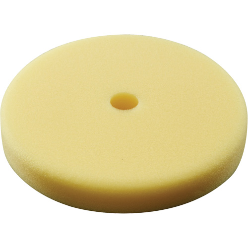 Polishing Pad, 7" Dia. R.M.G. Prévention