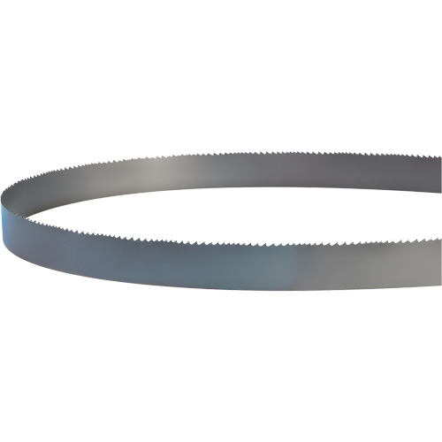 Welded Bandsaw Blade, Bi-Metal, 14' L x 1" W x 4 - 6 TPI R.M.G. Prévention