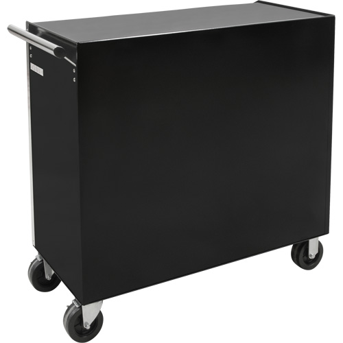 Industrial Tool Cart, 11 Drawers, 41" W x 18-3/4" D x 39-1/3" H, Black R.M.G. Prévention