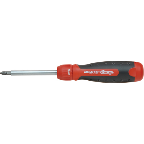 13-in-1 Ratcheting Driver, Cushion Grip Handle R.M.G. Prévention