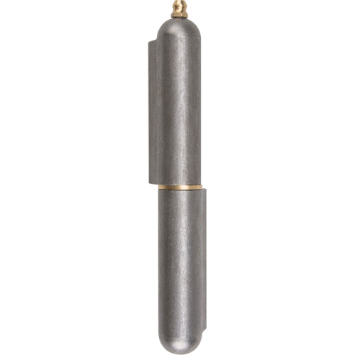 Charni&egrave;re &agrave; souder, 0,787" dia. x 5,906" lo, Acier doux a/goupille fixe en acier R.M.G. Prévention