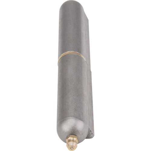 Charni&egrave;re &agrave; souder, 0,787" dia. x 5,906" lo, Acier doux a/goupille fixe en acier R.M.G. Prévention