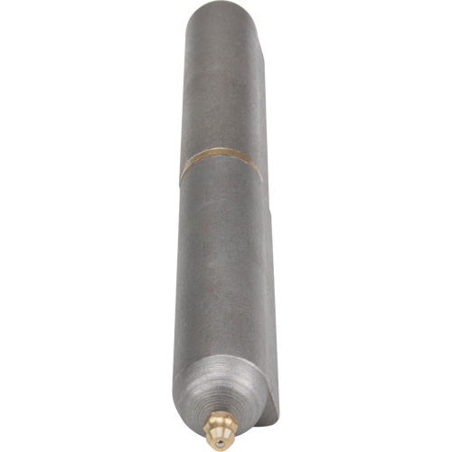 Charni&egrave;re &agrave; souder, 0,906" dia. x 7,874" lo, Acier doux a/goupille fixe en acier R.M.G. Prévention