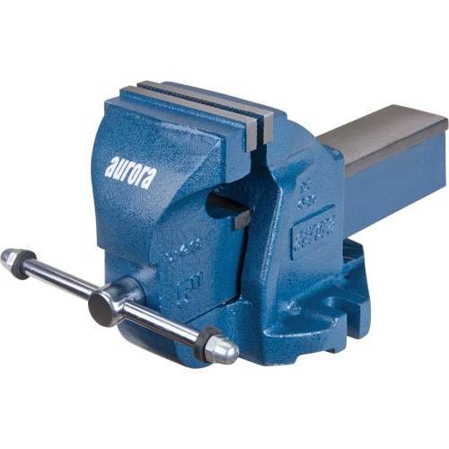 Heavy-Duty Bench Vise, 5" Jaw Width, 3-3/10" Throat Depth R.M.G. Prévention