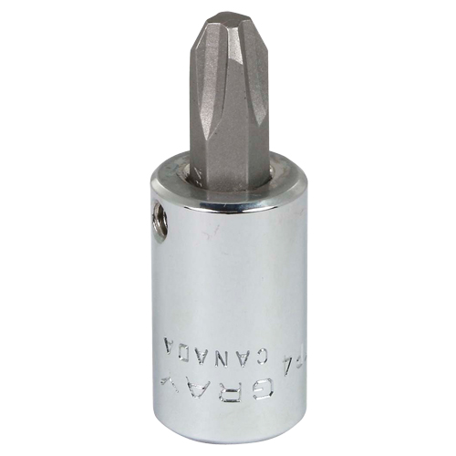 Head Socket, Phillips, #4 x 1.93" L, 3/8" Square Drive Drive R.M.G. Prévention