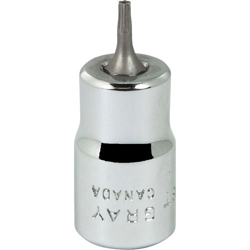 Douille &agrave; embout, Torx, T8 x 2-1/8" lo, Prise 3/8" R.M.G. Prévention
