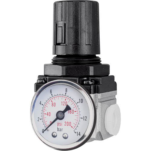 Air Regulator (Gauge Included), 1/4" NPT, 220 PSI Max. PSI, Modular R.M.G. Prévention