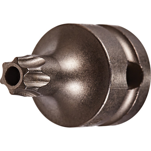 Embout &agrave; ins&eacute;rer, Torx inviolable, 25 x 1" lo, Prise 3/8" R.M.G. Prévention