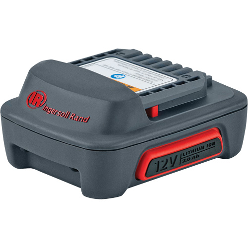IQV12 Series Battery, Lithium-Ion, 12 V, 2 Ah R.M.G. Prévention