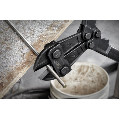 Bolt Cutter, 30" L, Flush Cut R.M.G. Prévention