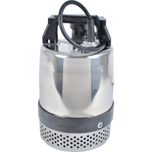 Pompe utilitaire s&eacute;rie FLS/FS, 1 CV, 80 gal./min, 115 V, 10 A R.M.G. Prévention