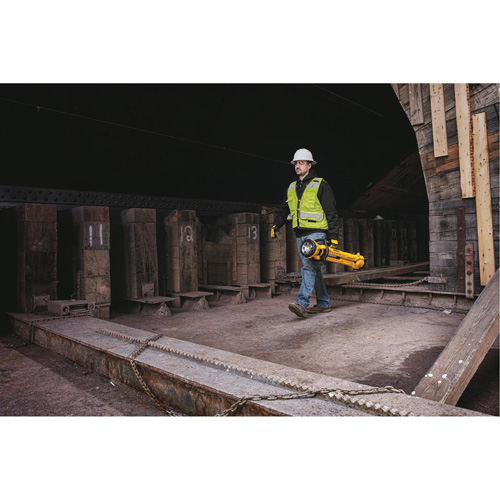 20V Max Cordless Tripod Light, LED, 3000 Lumens, Plastic Housing R.M.G. Prévention