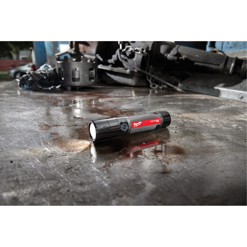 Lampe de poche compacte compatible USB, DEL, 800 lumens, Piles Rechargeable R.M.G. Prévention