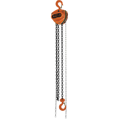 KCH Series Chain Hoists, 10' Lift, 4400 lbs. (2 tons) Capacity, Alloy Steel Chain R.M.G. Prévention